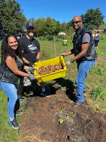 Volunteers from the Knights Order and Knights of Columbus picked a crop of organic potatoes and peppers during a day of service. ....